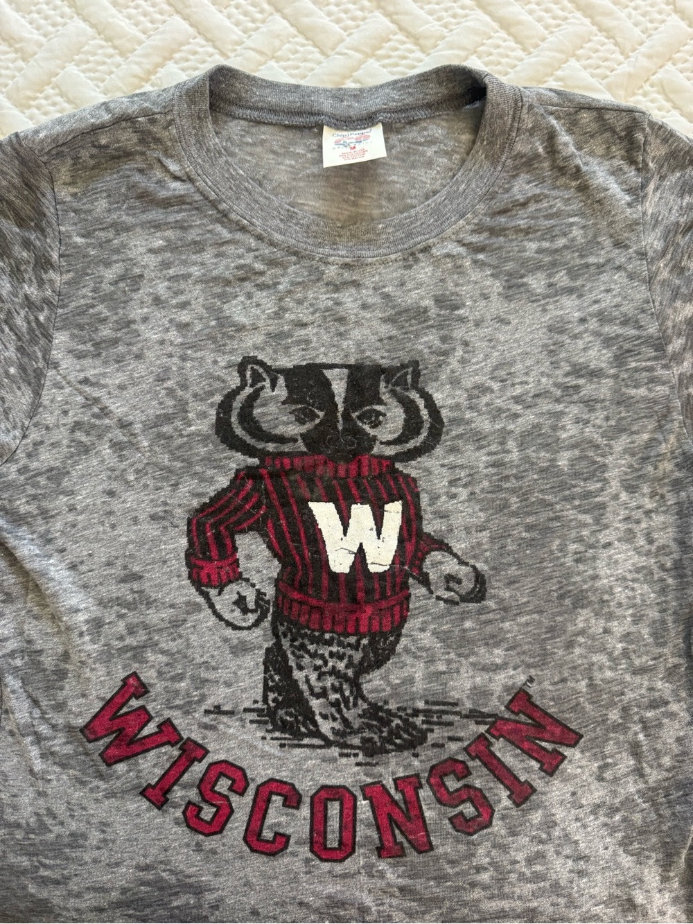 VTG Rare Chip & Pepper University Wisconsin Badgers D /S Burnout Graphic Shirt M